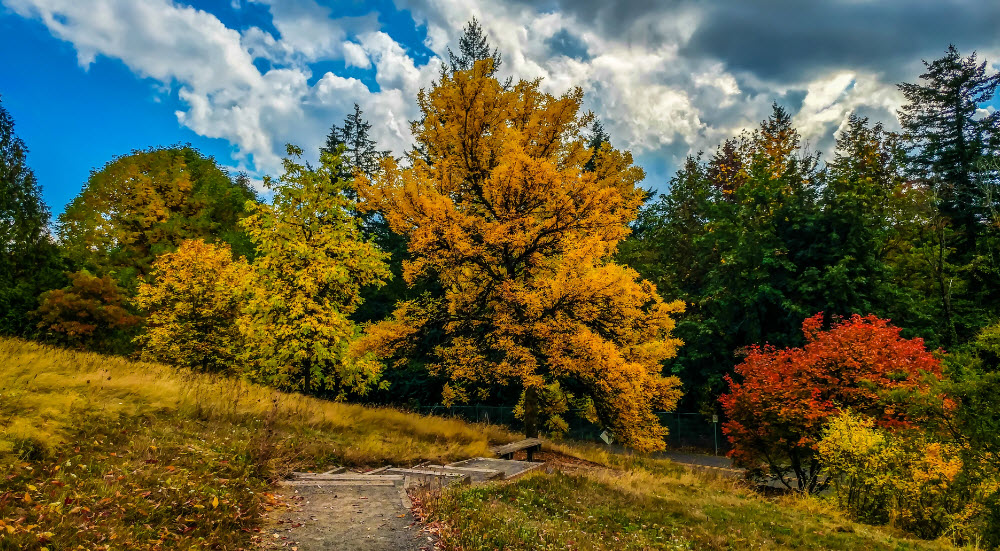 Hoyt Arboretum, United States